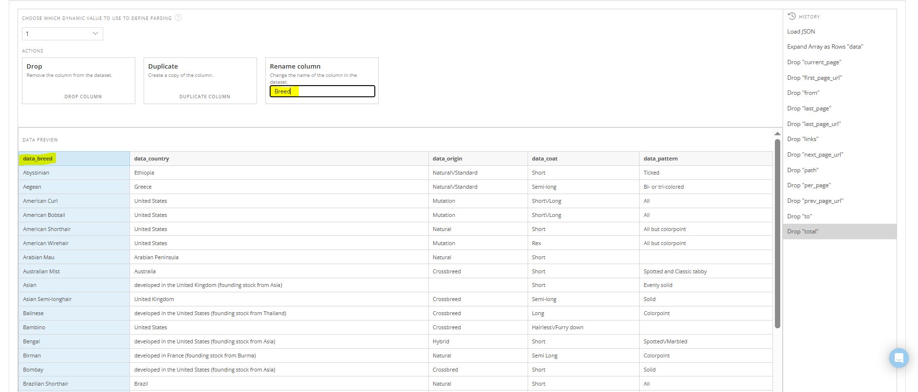 Domo JSON No Code Connector_Rename Column The image shows the Domo JSON No Code Connector's Parsing options. We've selected a particular column and are renaming it.
