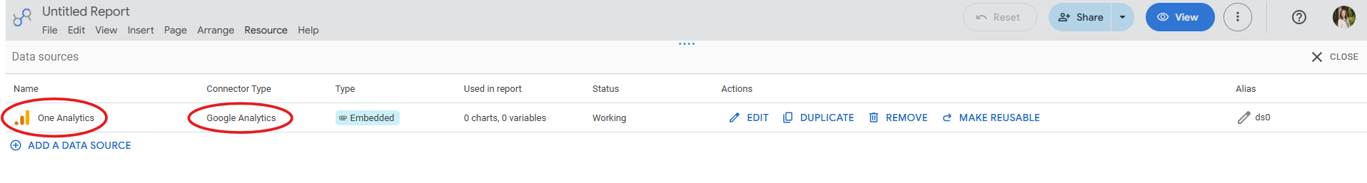 The image shows the connected Google Analytics data source within Data Studio (formerly Looker Studio).